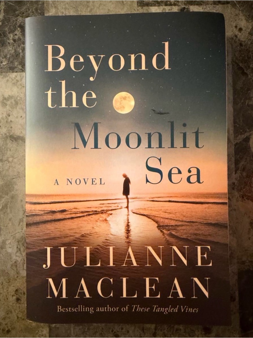 Book: Beyond the Moonlit Sea